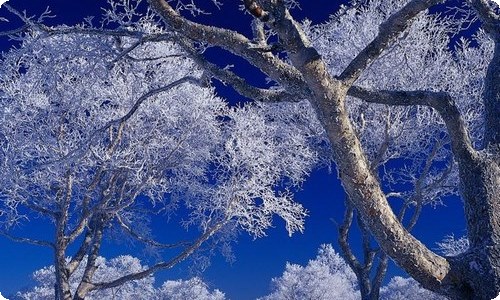 会计师事务所的实习报告范文