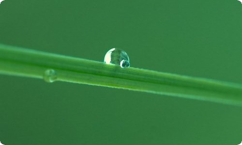 【推荐】数学说课稿小学模板汇编五篇