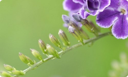 小鞋子观后感15篇