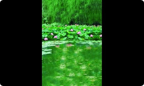 初一愚人节作文4篇
