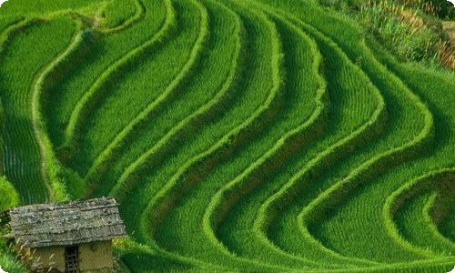 暑假周记范文集合八篇