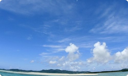 【精华】教育实习报告集锦五篇