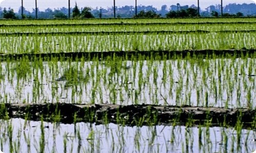 医院实习介绍信范文锦集八篇