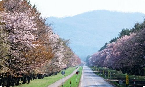 课文《活化石》的教学设计