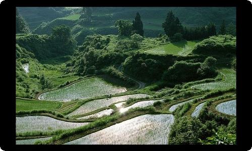 顶岗大学生实习周记