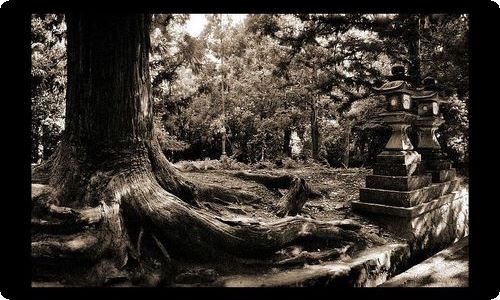 制度化管理