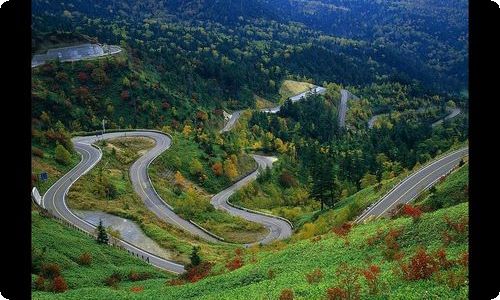 旅游管理毕业实习报告