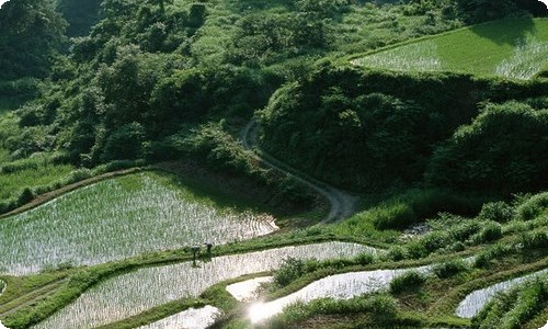 房屋施工承包合同范本