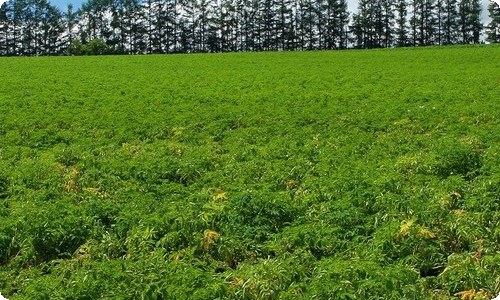 关于地质工程实习报告范文锦集七篇