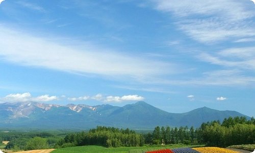 精选在书店实习报告四篇