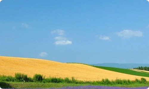 《血钻石》观后感