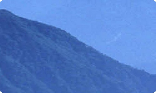 大学生职业规划书