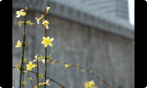 有关五年级儿童节作文300字集合8篇