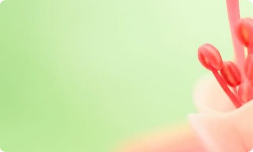 【推荐】2022年人生的格言集合85条