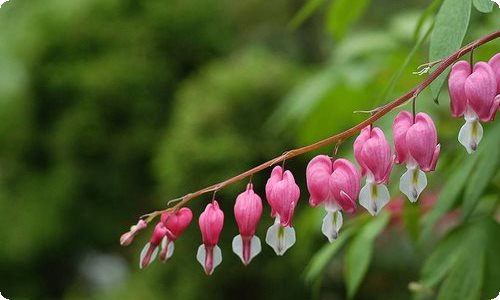 个人购房合同(汇编15篇)