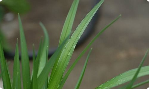 【精品】英语教师教学总结3篇