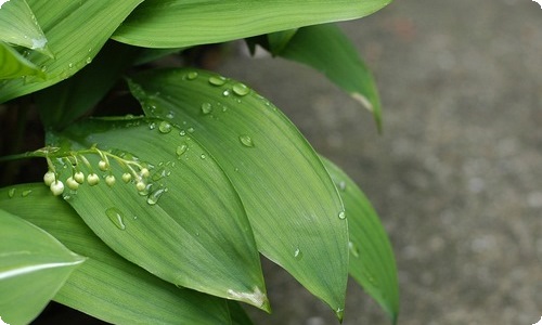 酒店前台年终总结