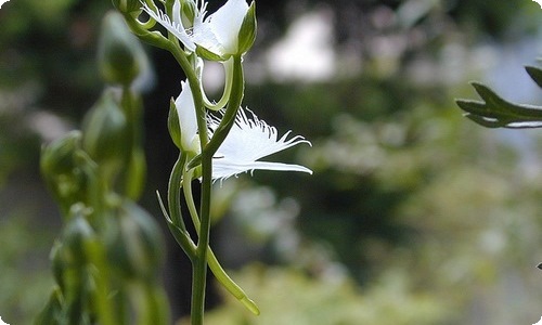 【热门】工作方案范文集合9篇