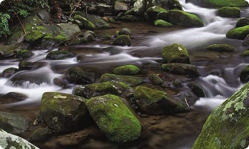 财务科长述职报告范文