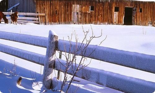 《电脑住宅》教学设计教案