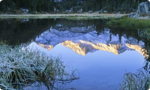 农村集体土地租赁合同范本集合8篇