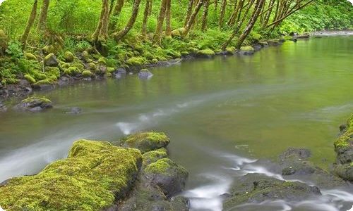 电大毕业生自我鉴定集合15篇