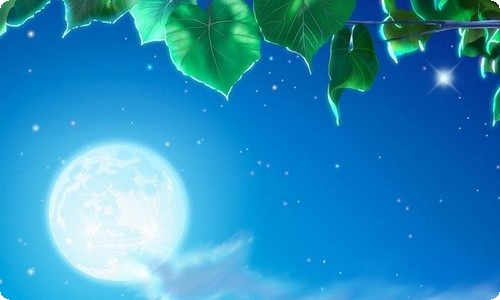 秋天的句子15篇