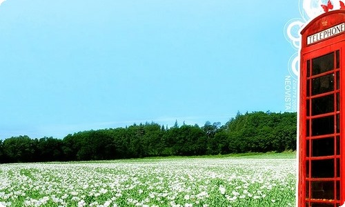 初中生物教师述职报告9篇