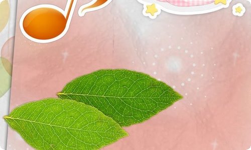 微信收款码积分兑换在哪个里面 微信收款码怎么用积分兑换