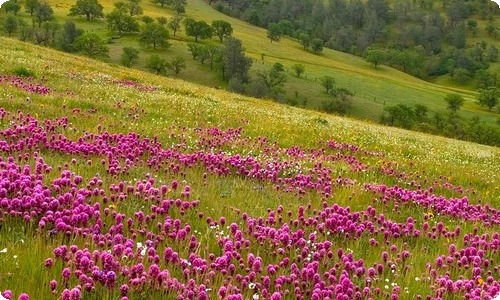 赠与合同范本