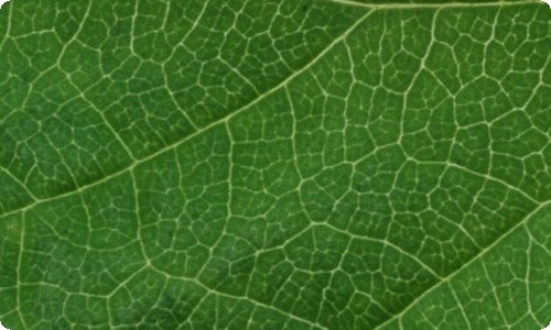 【荐】小王子读后感