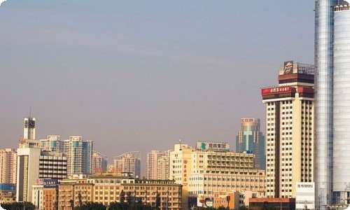 芒果作文600字锦集五篇