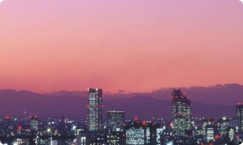 餐饮调查报告