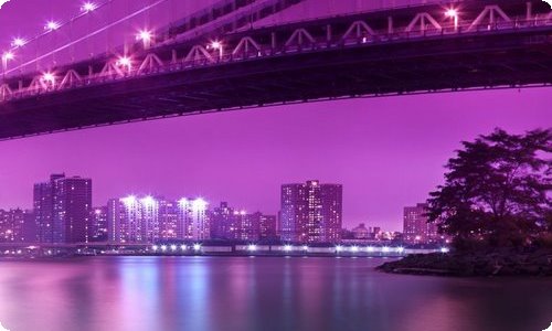 实用的四年级上册优秀作文合集八篇