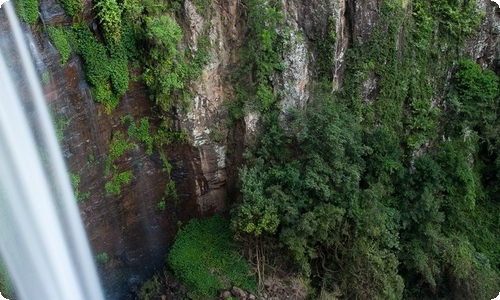 《尼尔斯骑鹅旅行记》读后感合集15篇