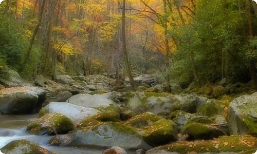 【热门】重阳节慰问信四篇