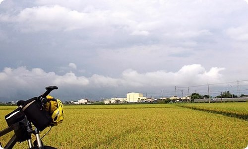 精选秋天来了写景作文300字4篇