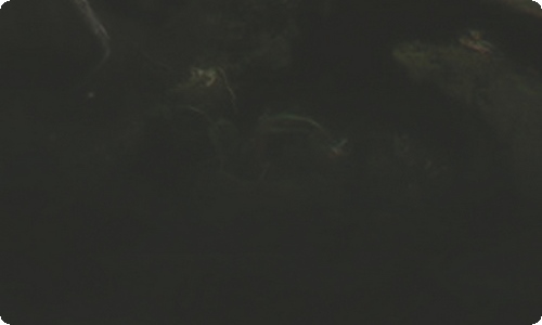 描写笑的句子