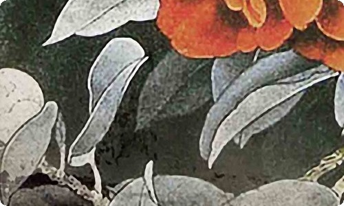 用孩子的语言和孩子沟通