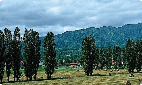 元宵节记叙文