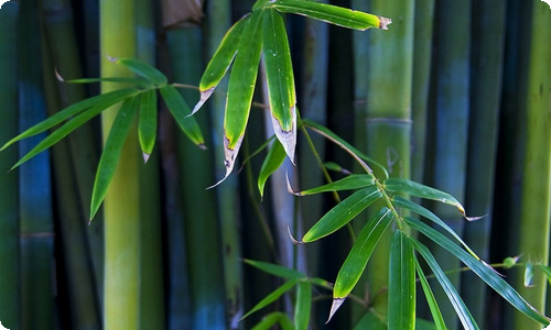 写给老师的表扬信合集七篇