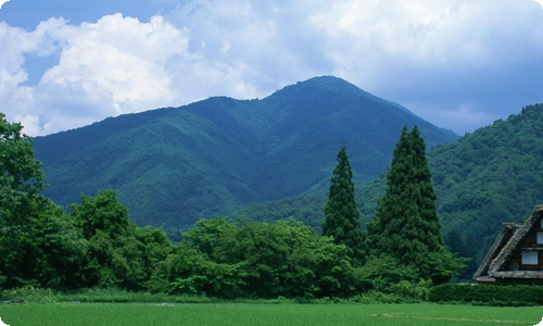 霸气的运动会口号大集合55条