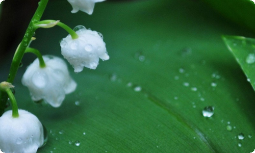 建筑修缮工程合同