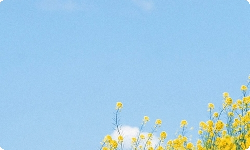 精选给朋友的情人节祝福语锦集69句