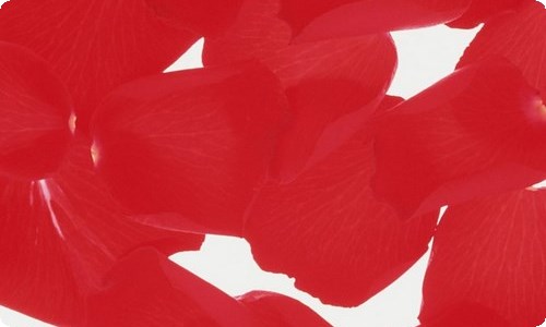 2021年有关朋友圈情感句子摘录76条