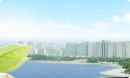 演讲稿:书香伴我成长